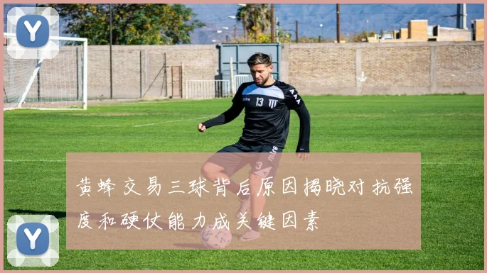黄蜂交易三球背后原因揭晓对抗强度和硬仗能力成关键因素