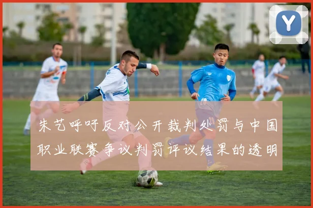 朱艺呼吁反对公开裁判处罚与中国职业联赛争议判罚评议结果的透明化探讨